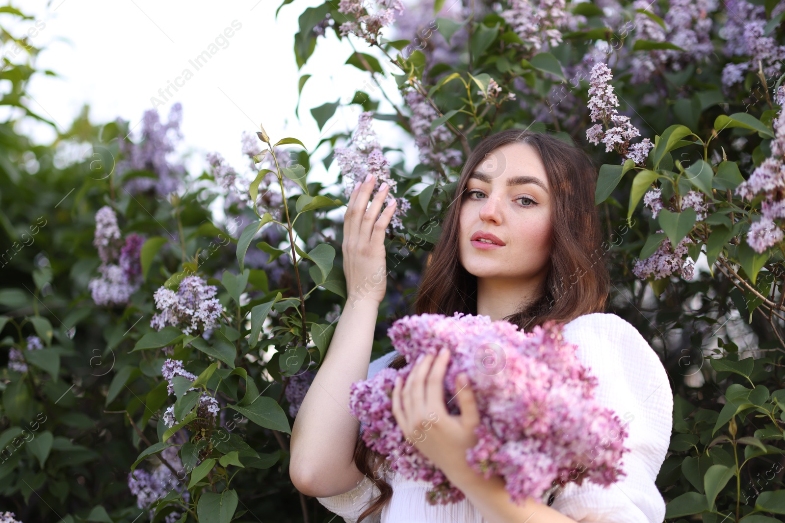 Beautiful woman among lilac flowers and leaves outdoors, low angle view Photo of Beautiful woman among lilac flowers and leaves outdoors, low angle view