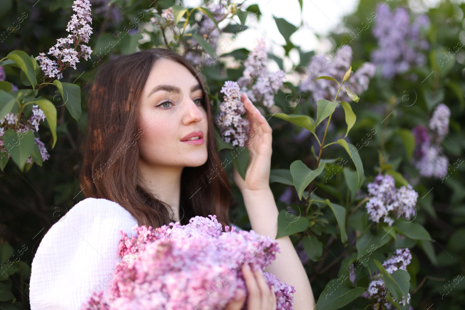 Beautiful woman among lilac flowers and leaves outdoors Photo of Beautiful woman among lilac flowers and leaves outdoors