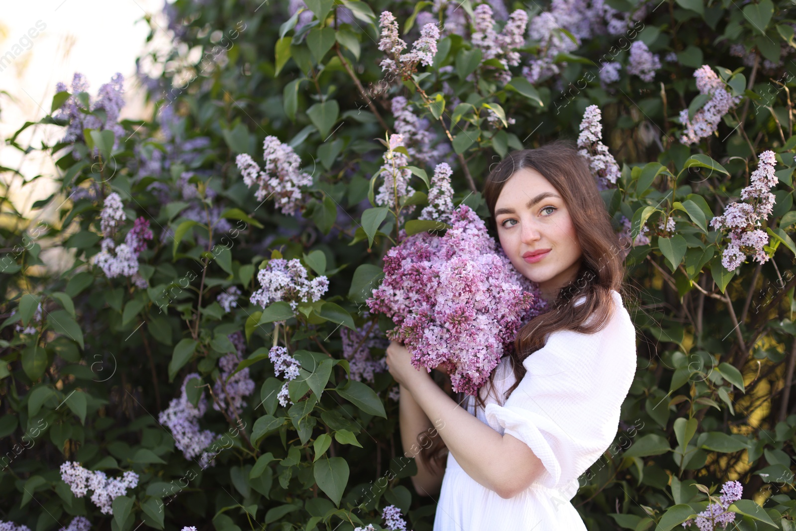 Beautiful woman among lilac flowers and leaves outdoors Photo of Beautiful woman among lilac flowers and leaves outdoors