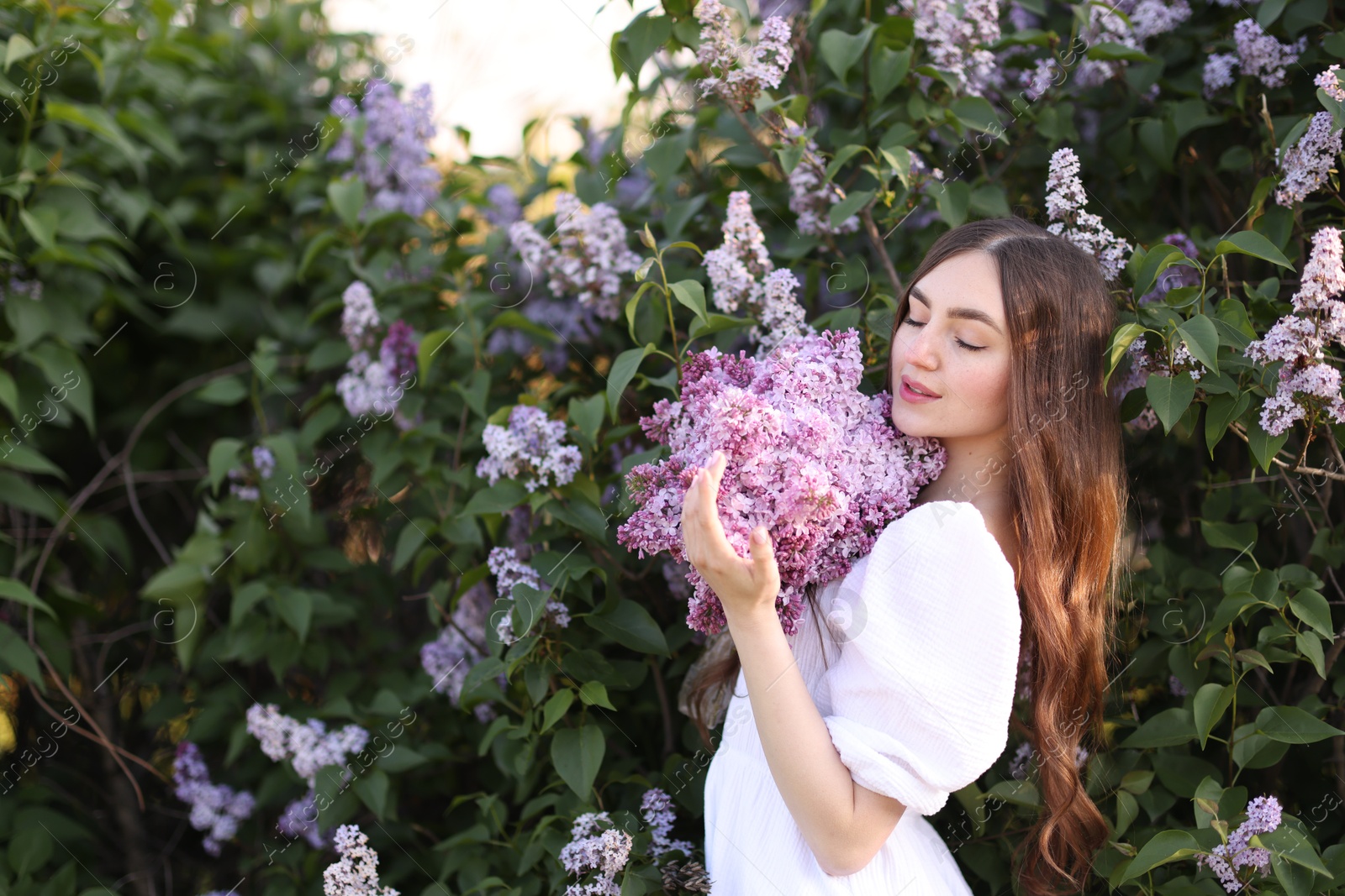 Beautiful woman among lilac flowers and leaves outdoors Photo of Beautiful woman among lilac flowers and leaves outdoors