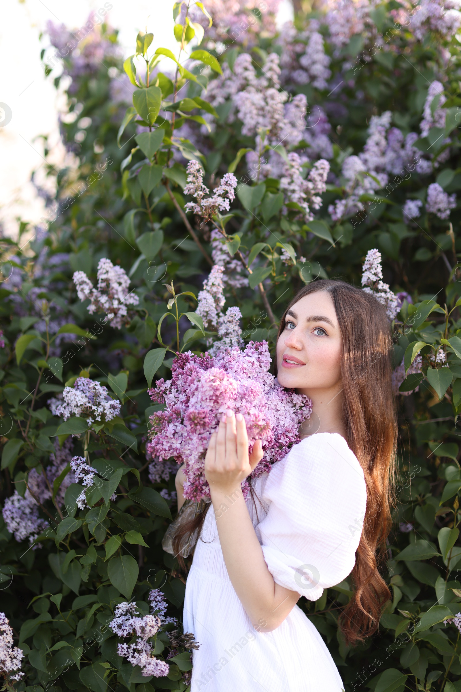 Smiling woman among lilac flowers and leaves outdoors Photo of Smiling woman among lilac flowers and leaves outdoors