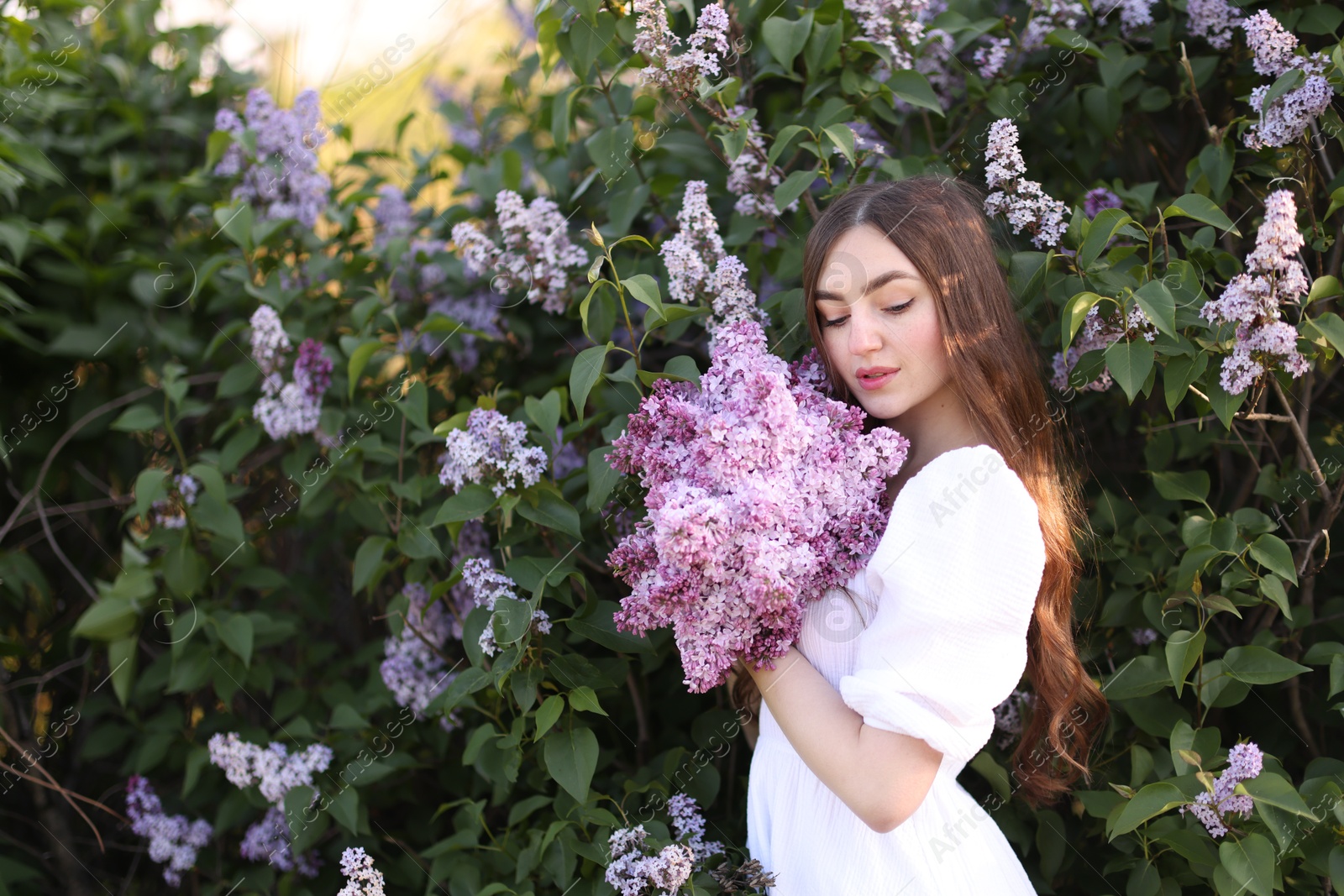 Beautiful woman among lilac flowers and leaves outdoors Photo of Beautiful woman among lilac flowers and leaves outdoors