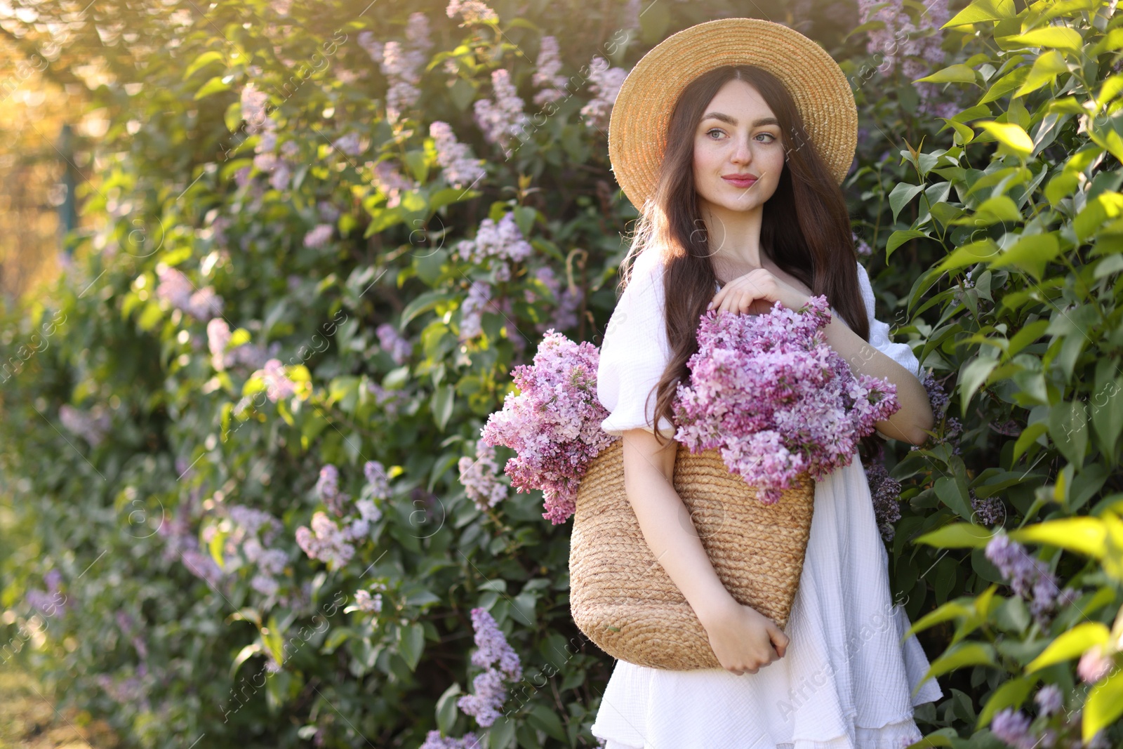 Beautiful woman with bag of lilac flowers near bush outdoors in morning Photo of Beautiful woman with bag of lilac flowers near bush outdoors in morning