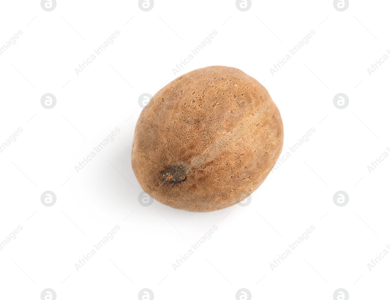 Photo of One whole fresh nutmeg isolated on white