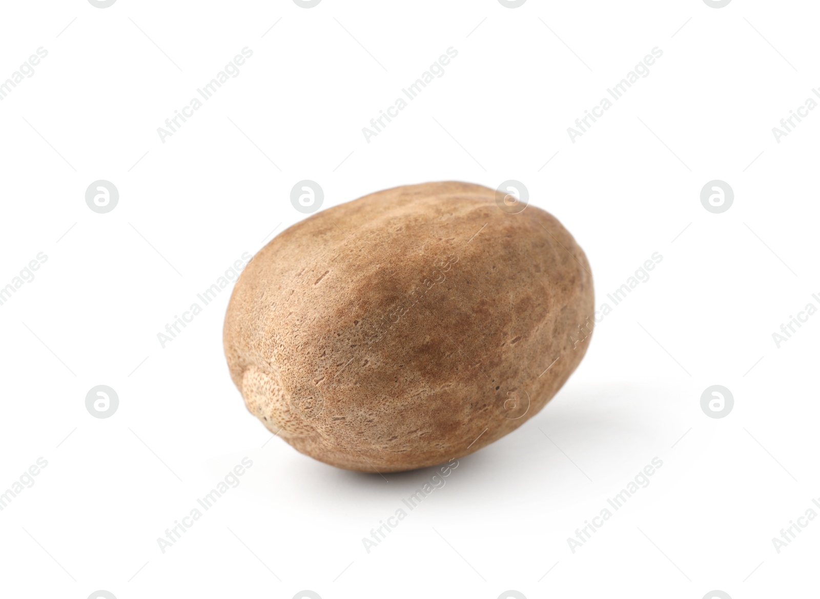 Photo of One whole fresh nutmeg isolated on white