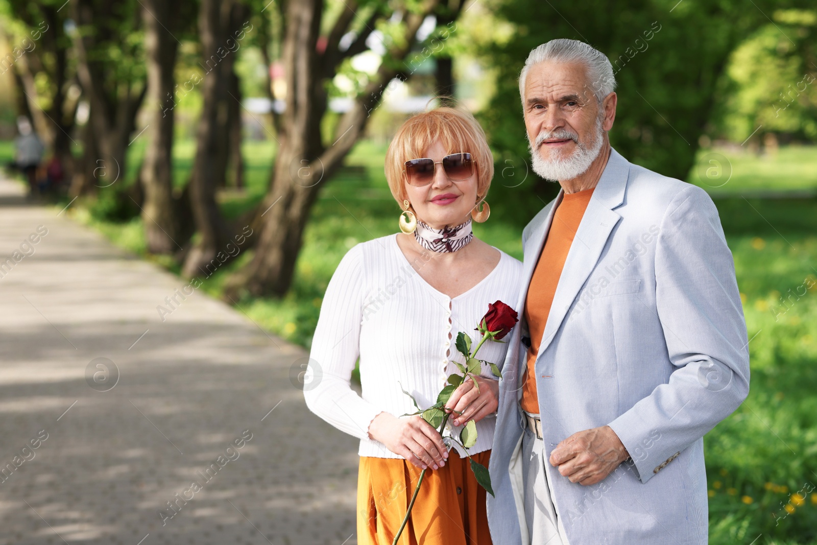 Lovely senior couple with rose in park, space for text Photo of Lovely senior couple with rose in park, space for text