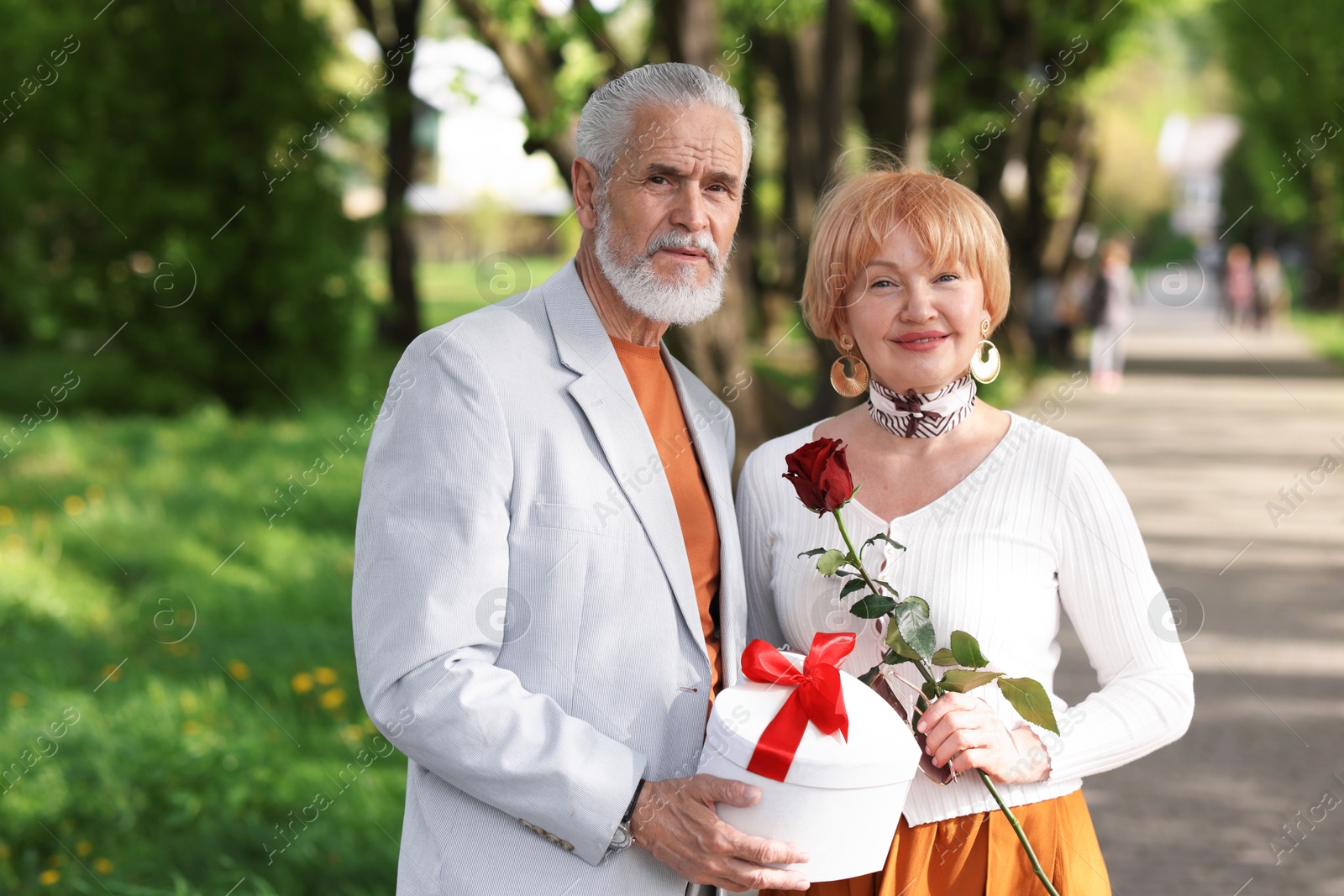 Lovely senior couple with gift box and rose in park Photo of Lovely senior couple with gift box and rose in park