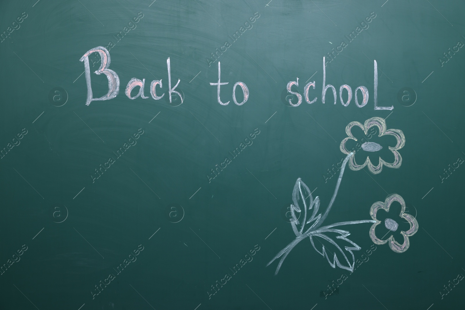 Phrase Back To School and flowers on blackboard Photo of Phrase Back To School and flowers on blackboard