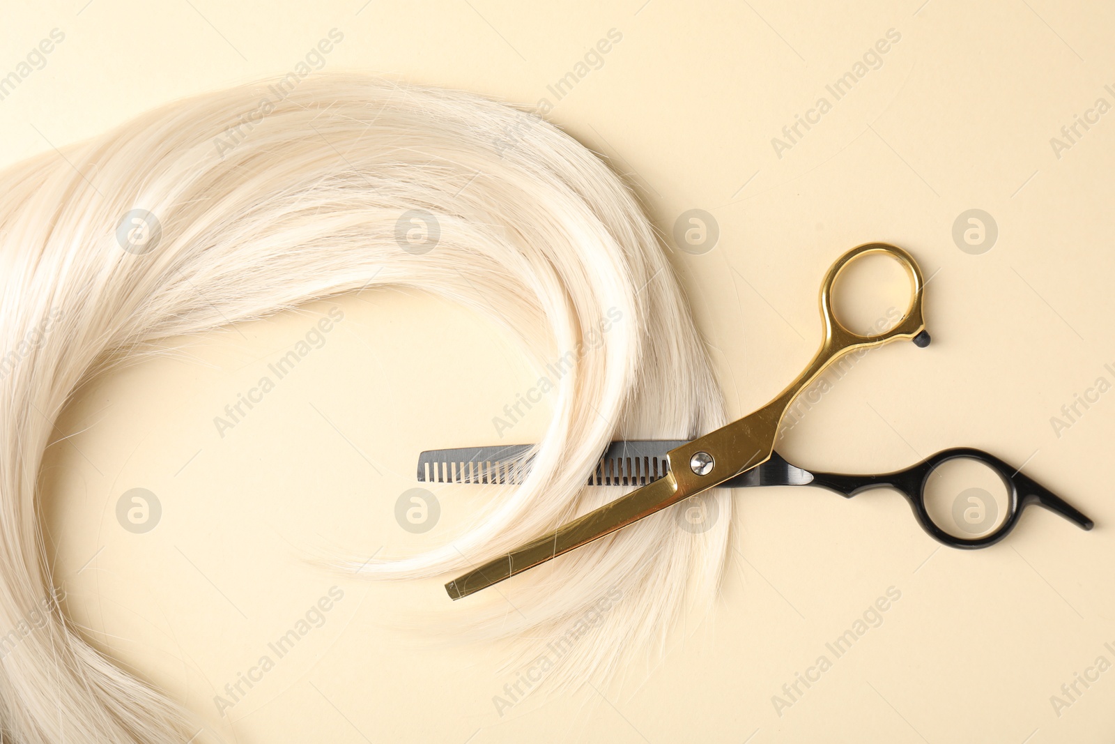 Hair lock and scissors on beige background, flat lay Photo of Hair lock and scissors on beige background, flat lay