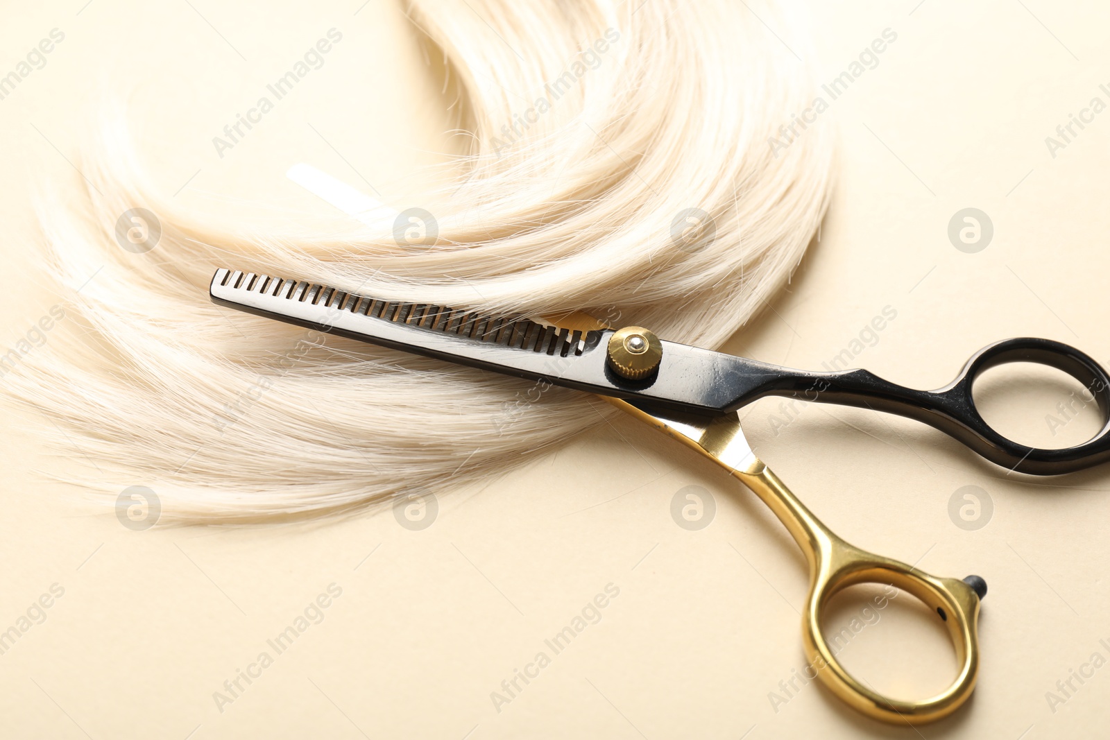 Hair lock and scissors on beige background, above view Photo of Hair lock and scissors on beige background, above view