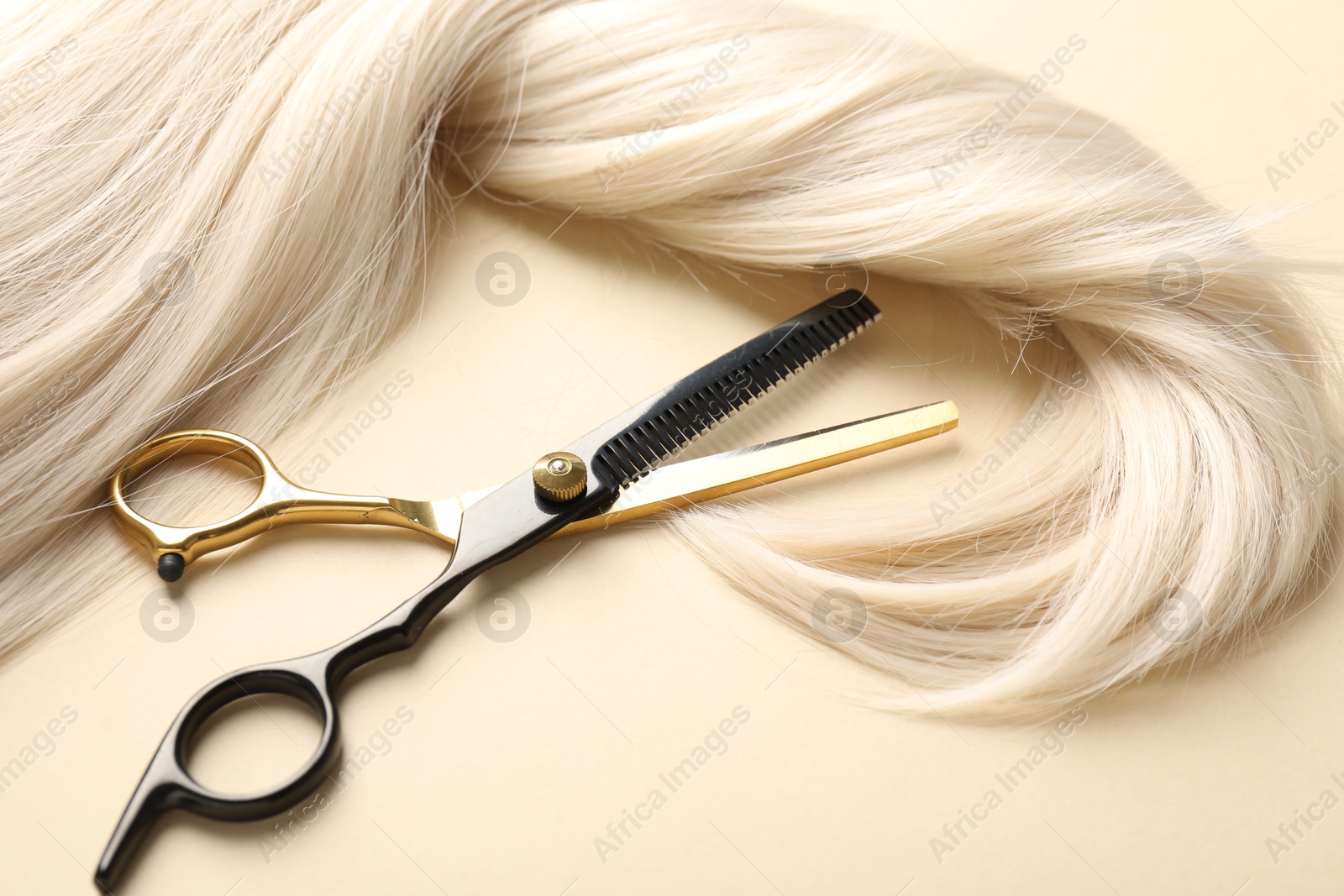 Hair lock and scissors on beige background, above view Photo of Hair lock and scissors on beige background, above view