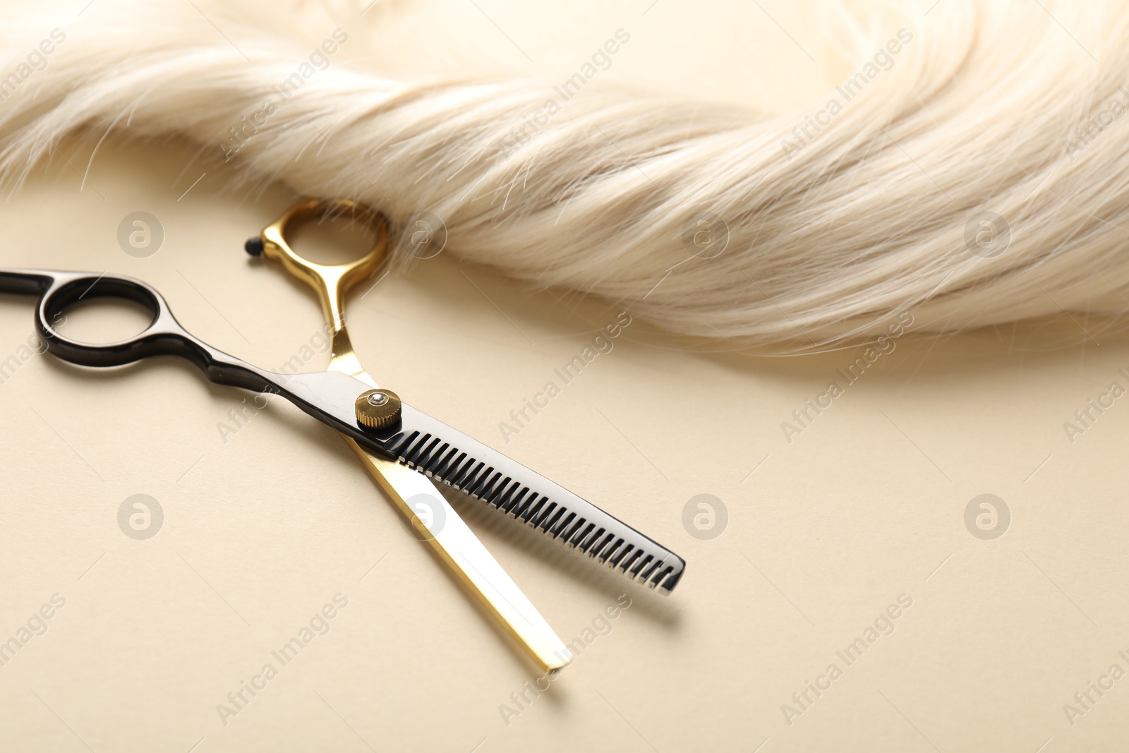 Hair lock and scissors on beige background, closeup Photo of Hair lock and scissors on beige background, closeup