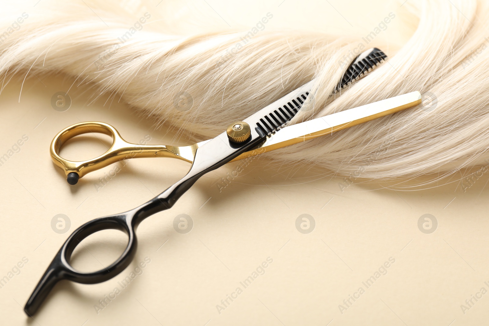 Hair lock and scissors on beige background, closeup Photo of Hair lock and scissors on beige background, closeup