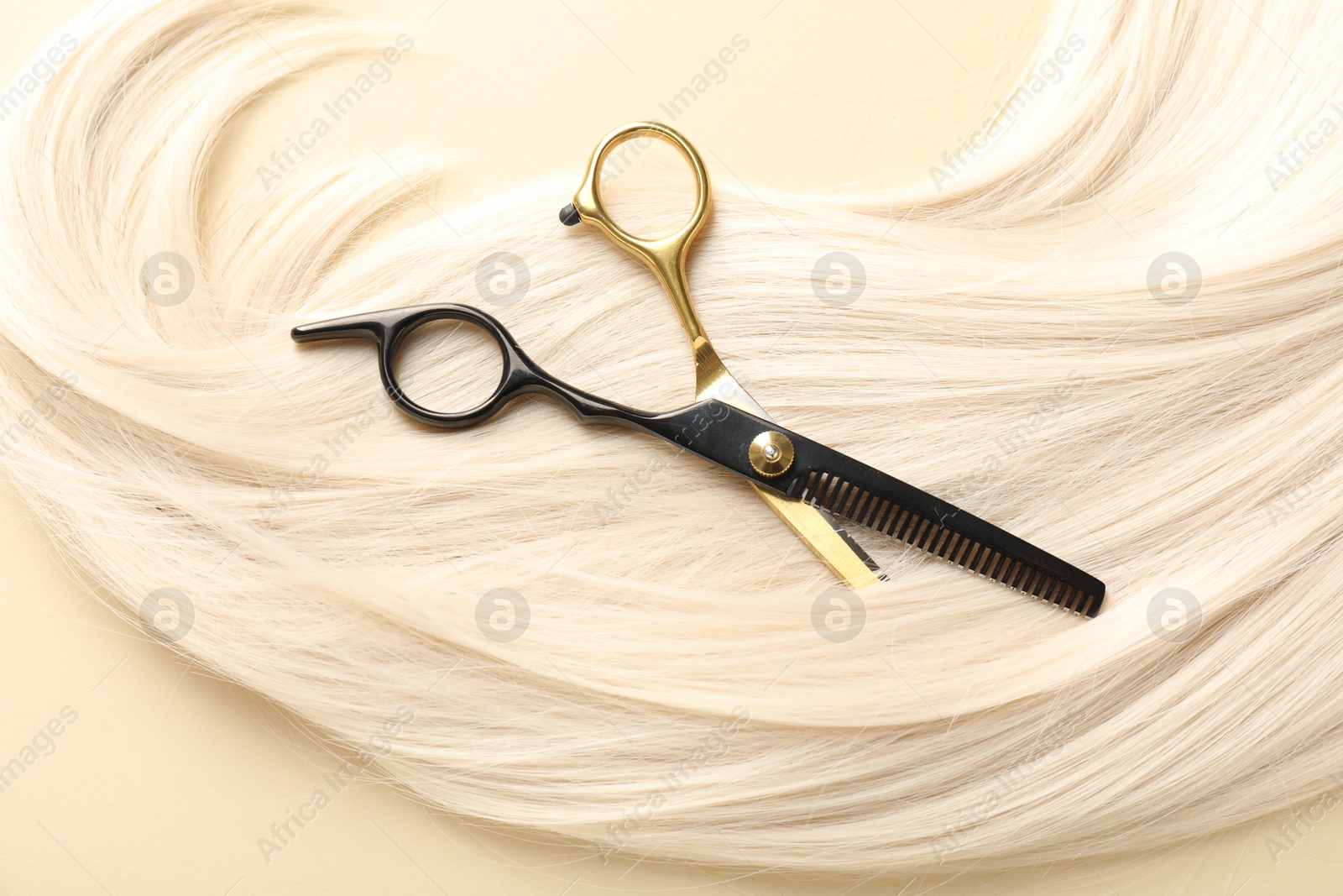 Hair lock and scissors on beige background, top view Photo of Hair lock and scissors on beige background, top view