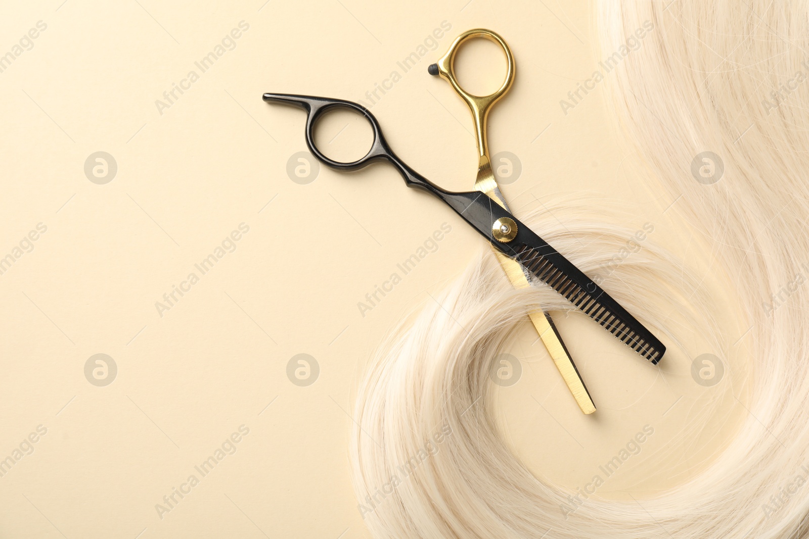 Hair lock and scissors on beige background, flat lay. Space for text Photo of Hair lock and scissors on beige background, flat lay. Space for text