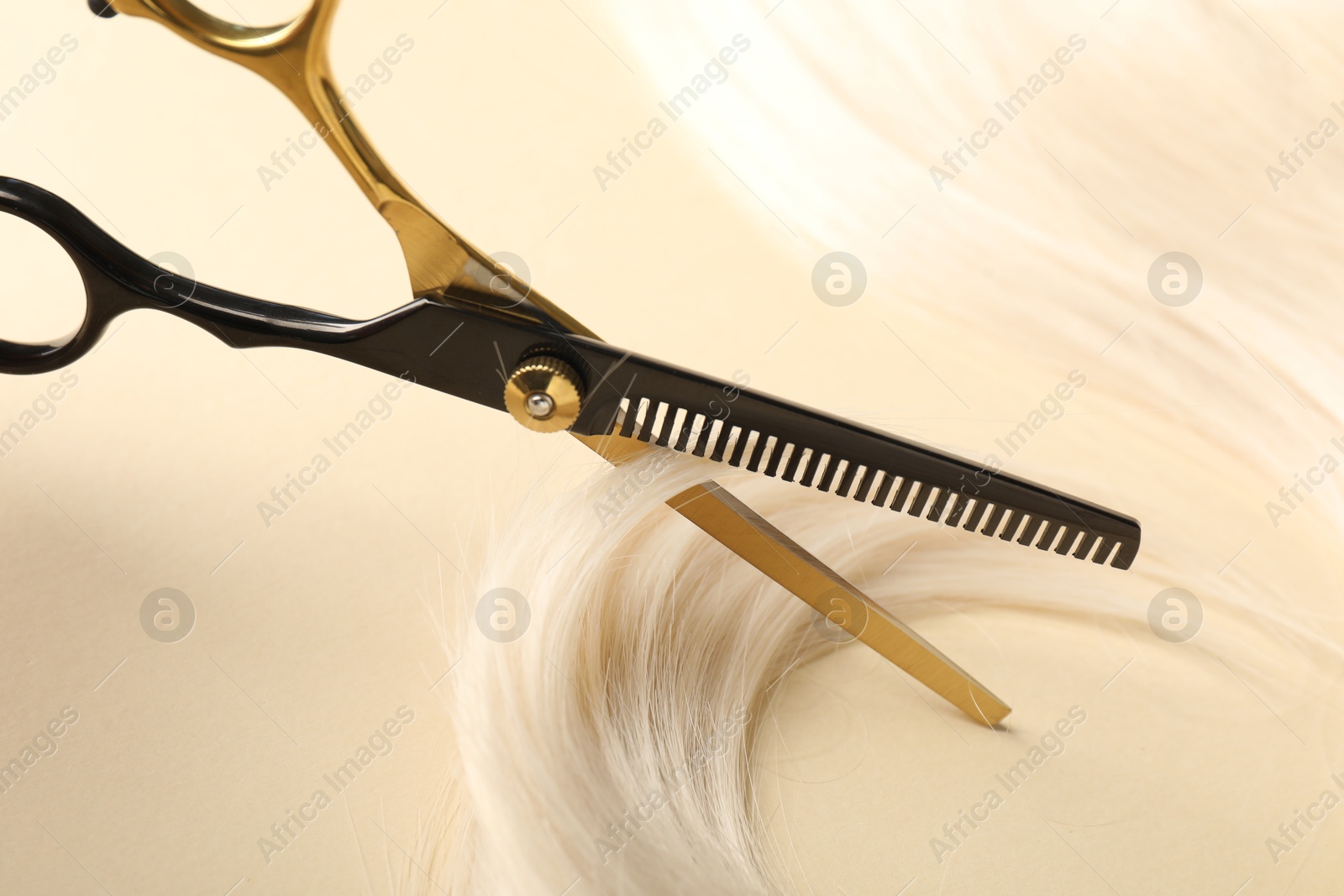 Hair lock and scissors on beige background, closeup Photo of Hair lock and scissors on beige background, closeup