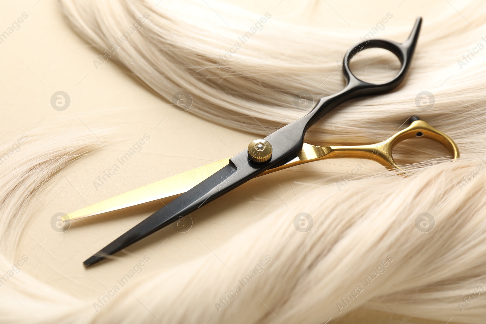 Hair locks and scissors on beige background, closeup Photo of Hair locks and scissors on beige background, closeup