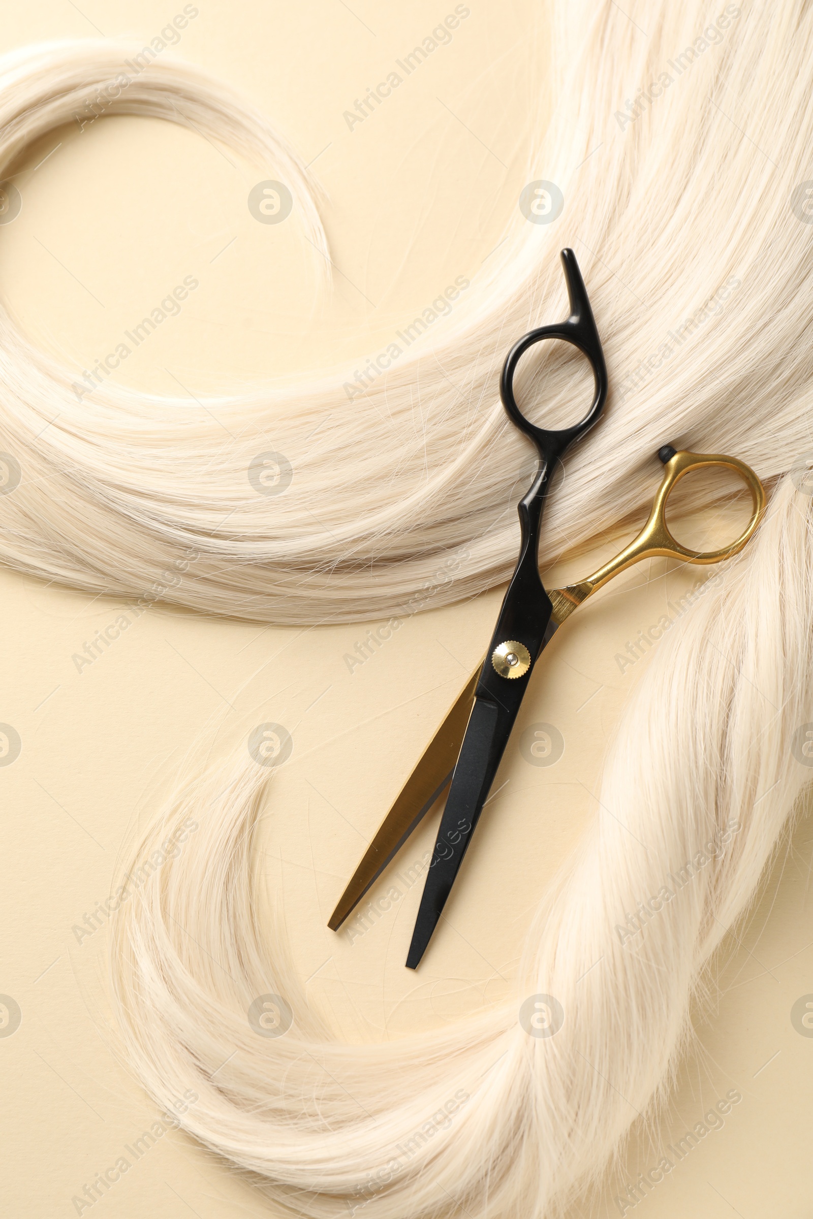 Hair locks and scissors on beige background, flat lay Photo of Hair locks and scissors on beige background, flat lay
