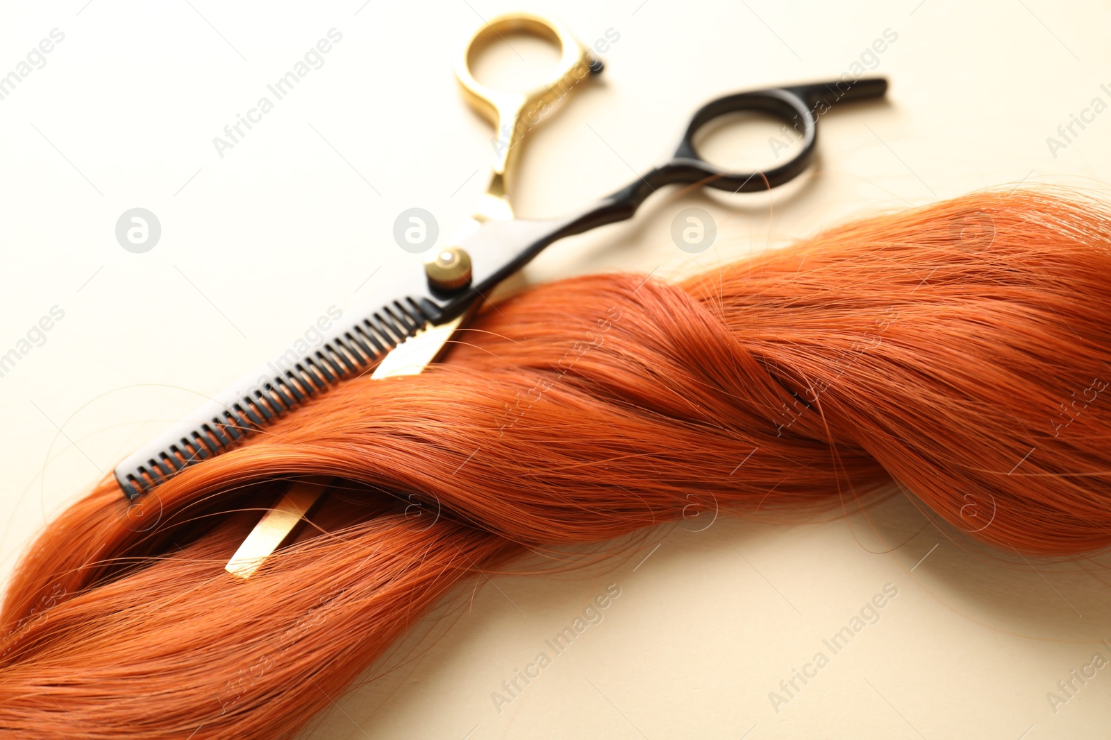 Hair lock and scissors on beige background, closeup Photo of Hair lock and scissors on beige background, closeup