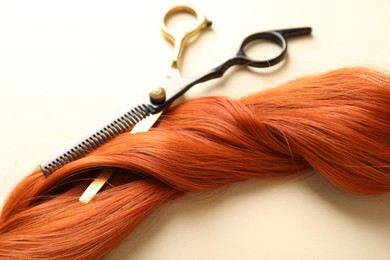 Photo of Hair lock and scissors on beige background, closeup