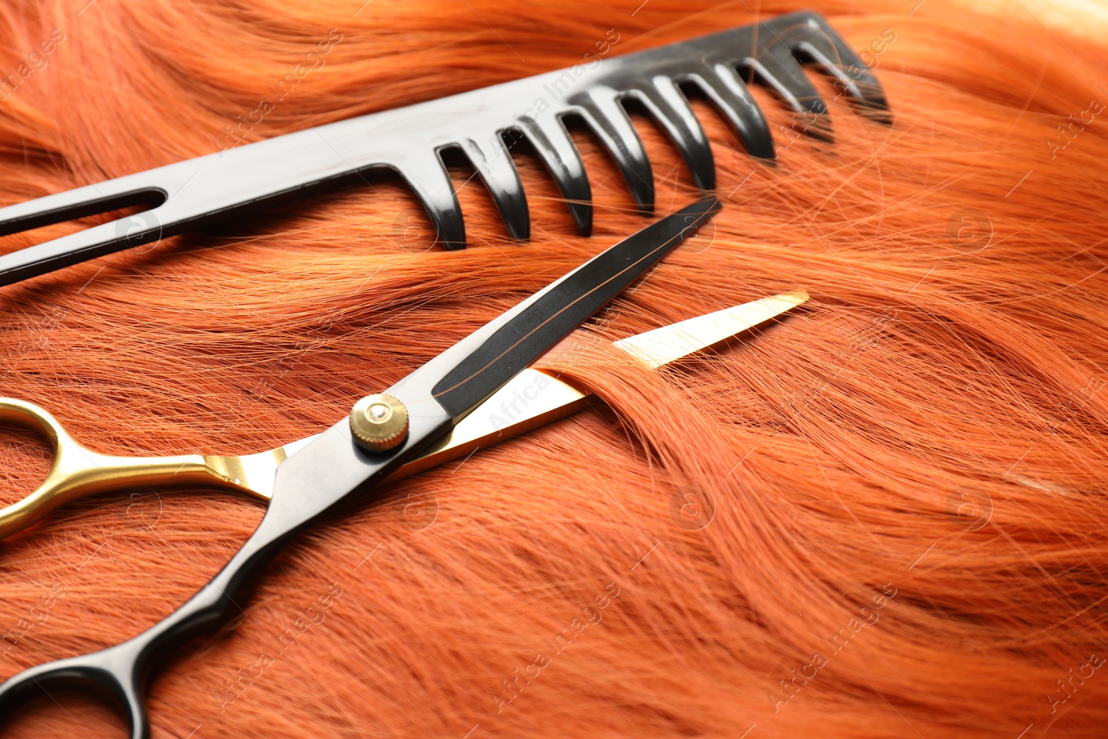 Scissors and comb on hair lock, closeup Photo of Scissors and comb on hair lock, closeup