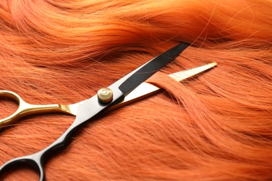 Photo of Scissors on hair lock, closeup. Hairdresser's tool