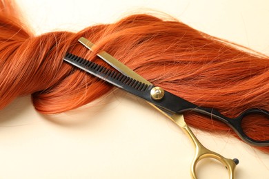 Photo of Hair lock and scissors on beige background, above view
