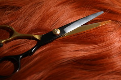 Photo of Scissors on hair lock, closeup. Hairdresser's tool