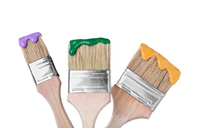 Photo of Brushes with color paints isolated on white