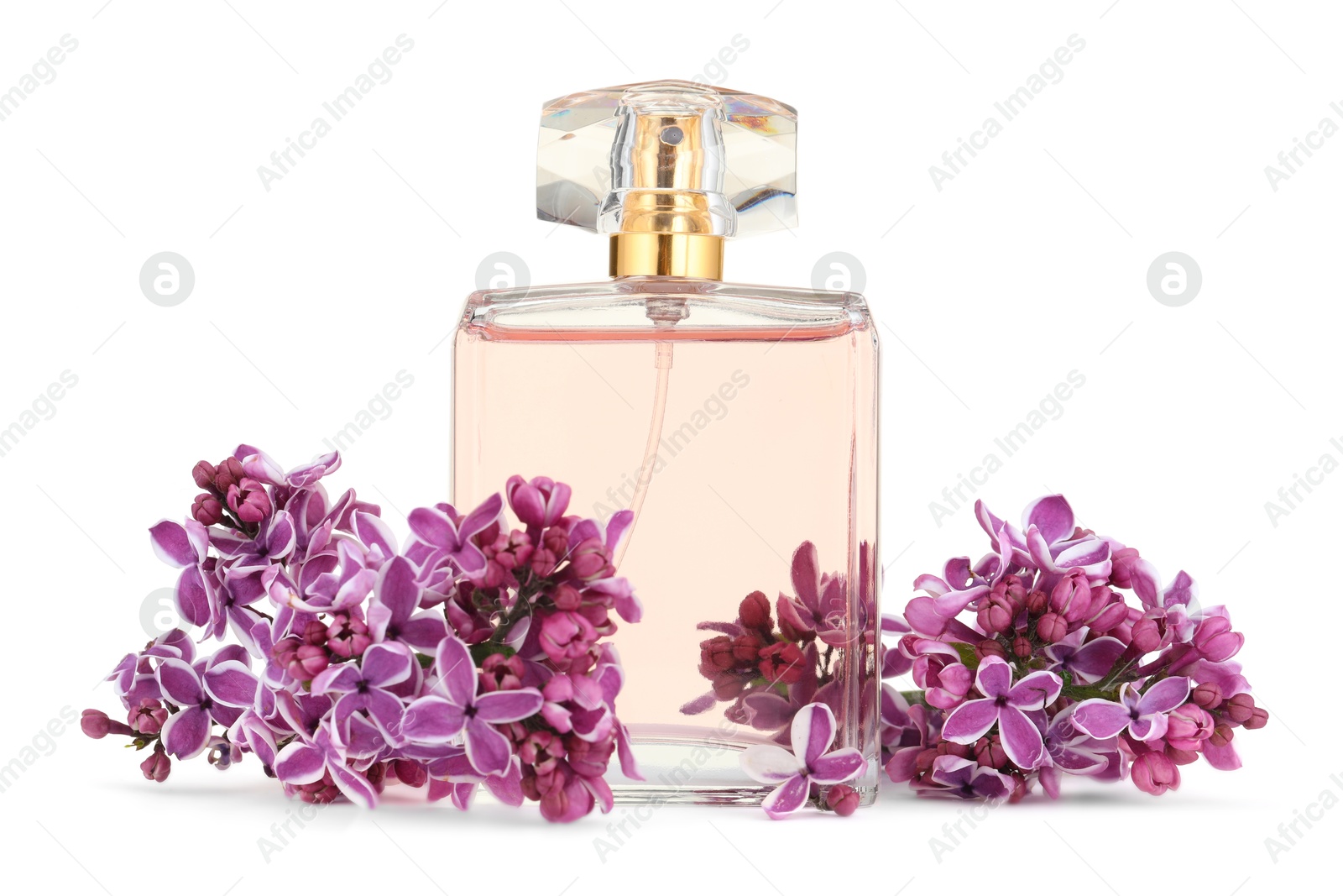 Bottle of luxury perfume and lilac flowers isolated on white Photo of Bottle of luxury perfume and lilac flowers isolated on white