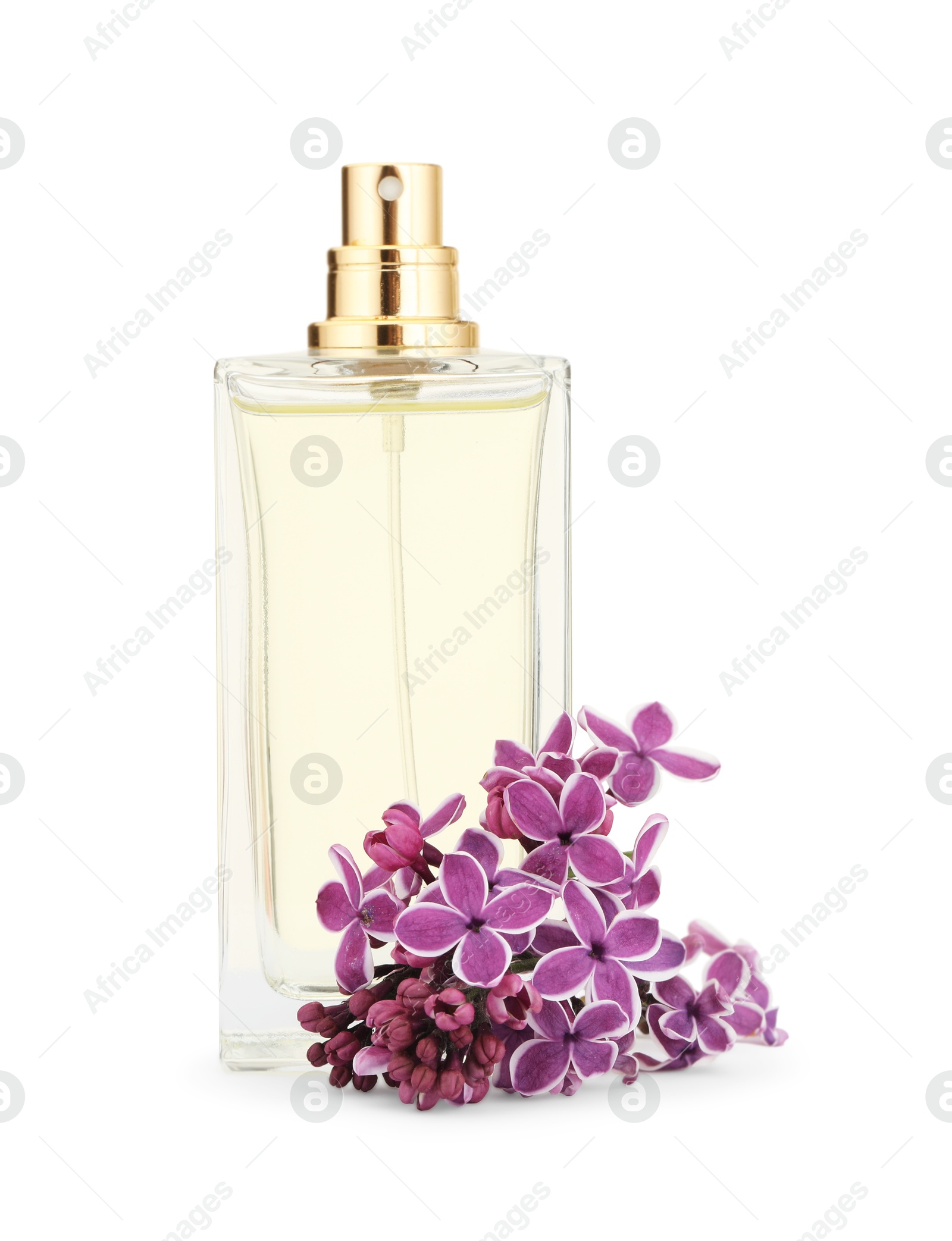 Bottle of luxury perfume and lilac flowers isolated on white Photo of Bottle of luxury perfume and lilac flowers isolated on white