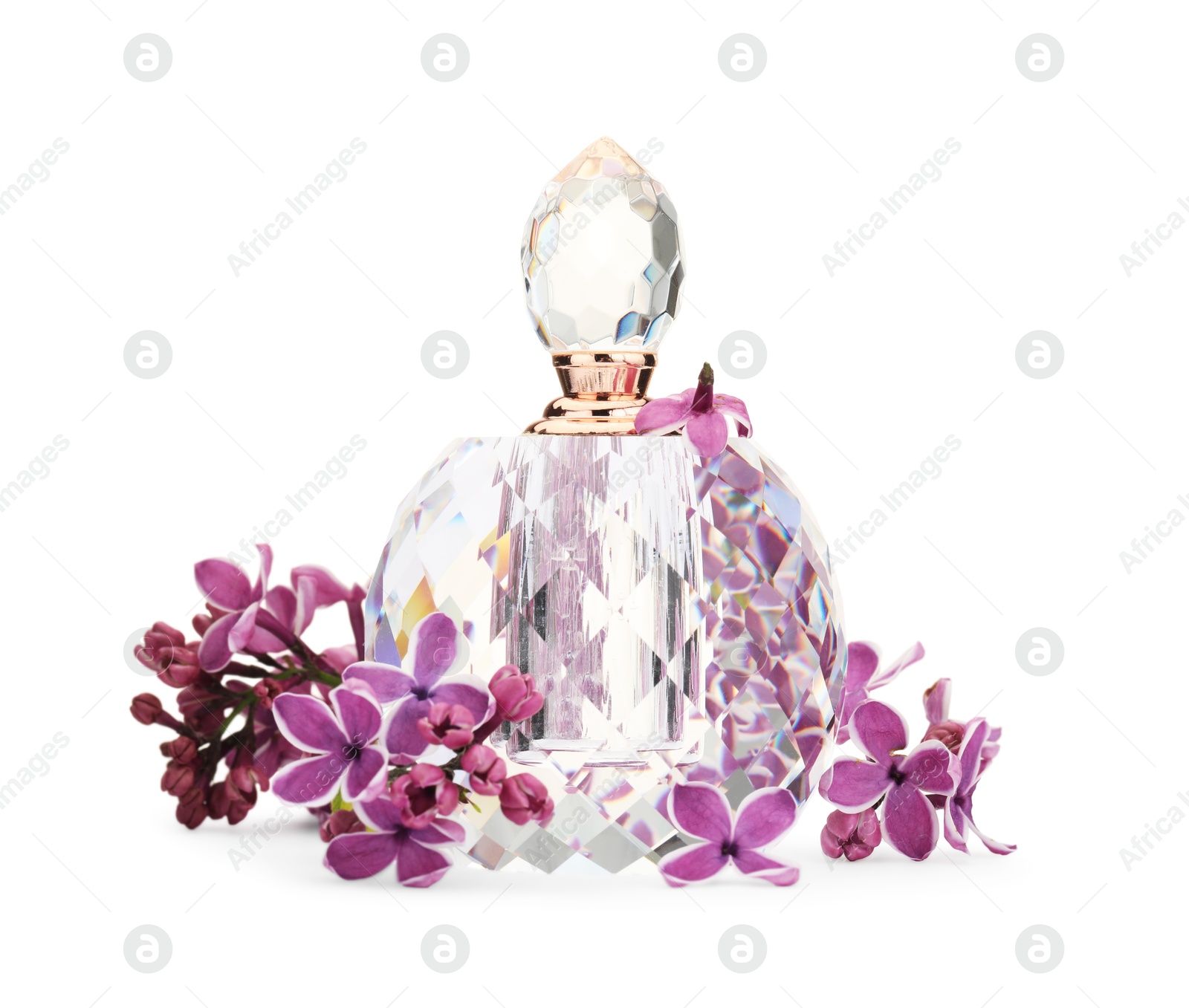 Bottle of luxury perfume and lilac flowers isolated on white Photo of Bottle of luxury perfume and lilac flowers isolated on white