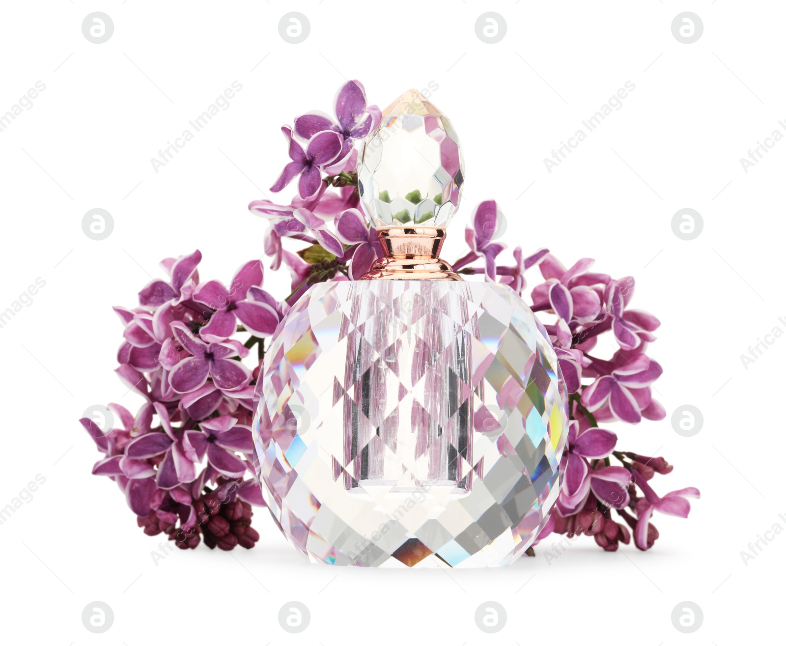 Bottle of luxury perfume and lilac flowers isolated on white Photo of Bottle of luxury perfume and lilac flowers isolated on white