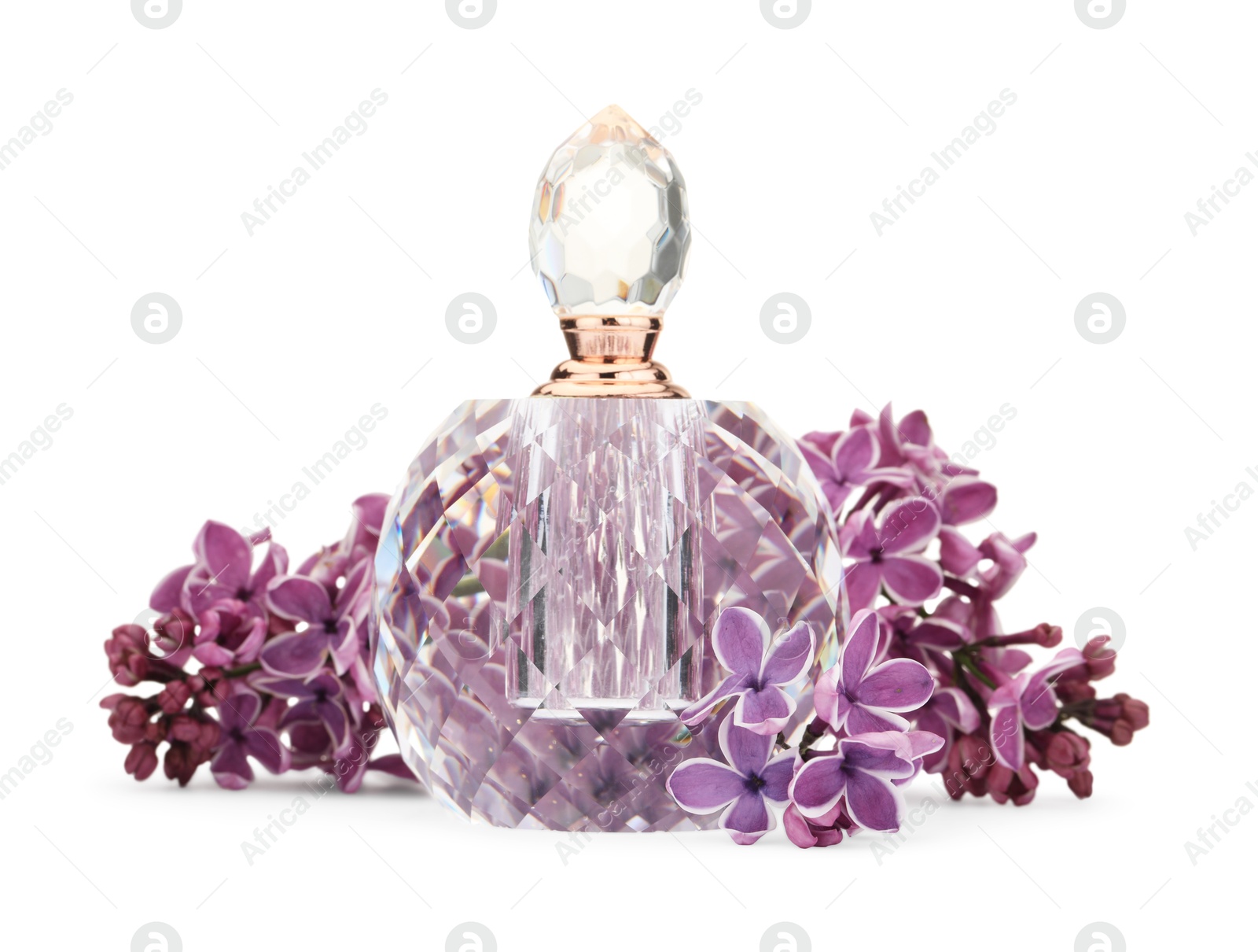 Bottle of luxury perfume and lilac flowers isolated on white Photo of Bottle of luxury perfume and lilac flowers isolated on white