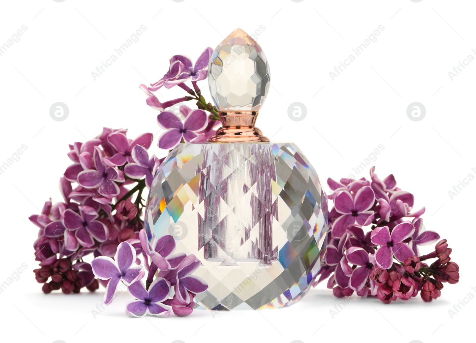Bottle of luxury perfume and lilac flowers isolated on white Photo of Bottle of luxury perfume and lilac flowers isolated on white