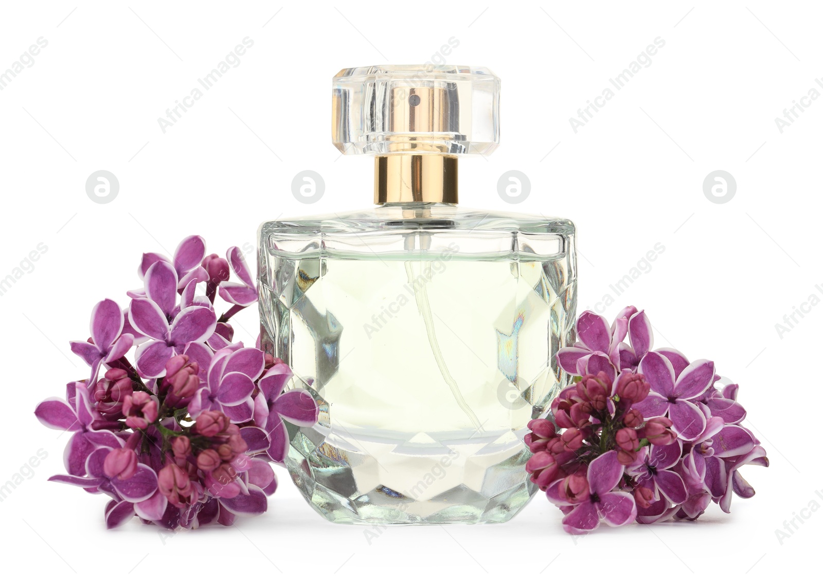 Bottle of luxury perfume and lilac flowers isolated on white Photo of Bottle of luxury perfume and lilac flowers isolated on white