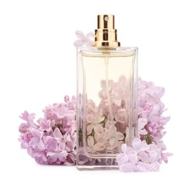 Photo of Luxury perfume and beautiful lilac flowers isolated on white