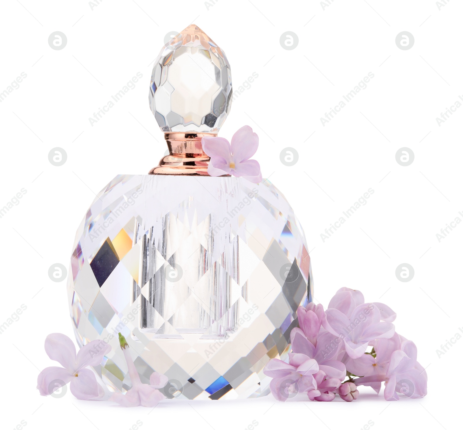 Luxury perfume and beautiful lilac flowers isolated on white Photo of Luxury perfume and beautiful lilac flowers isolated on white