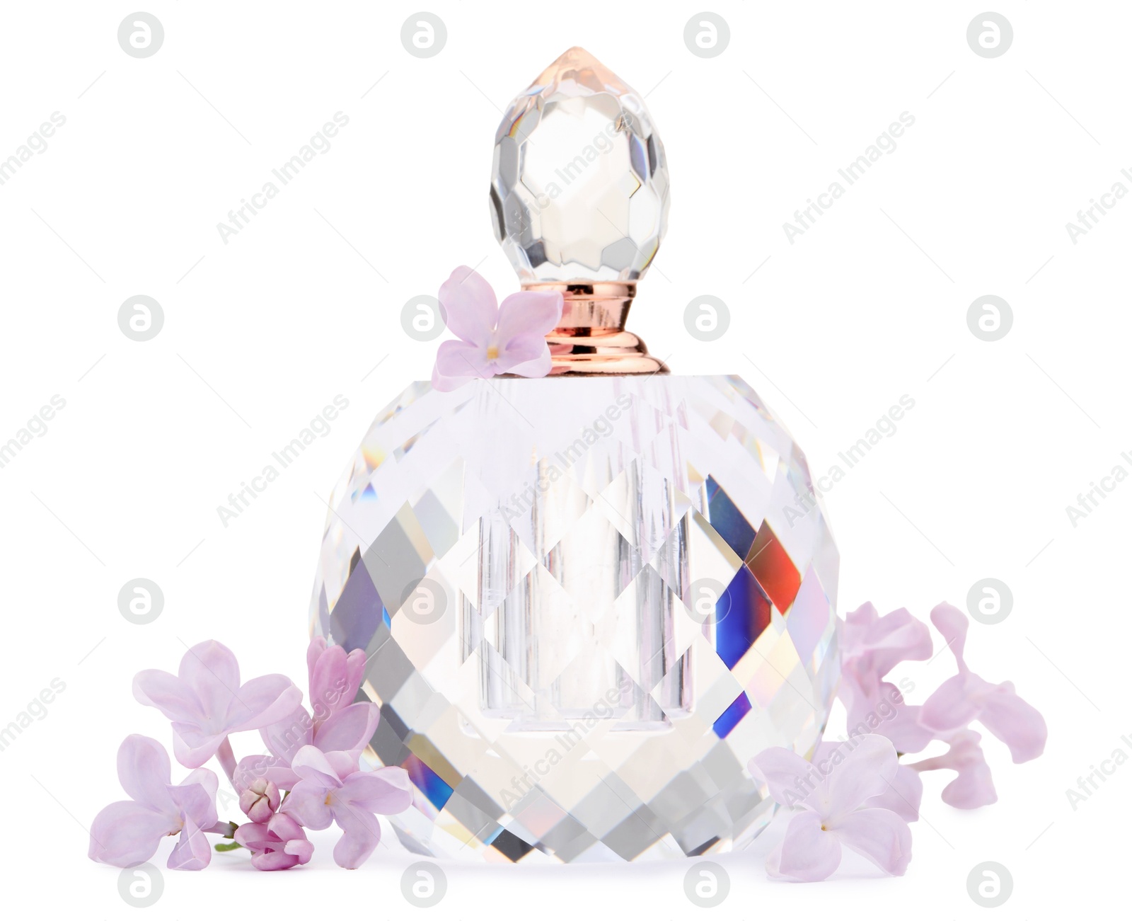Luxury perfume and beautiful lilac flowers isolated on white Photo of Luxury perfume and beautiful lilac flowers isolated on white