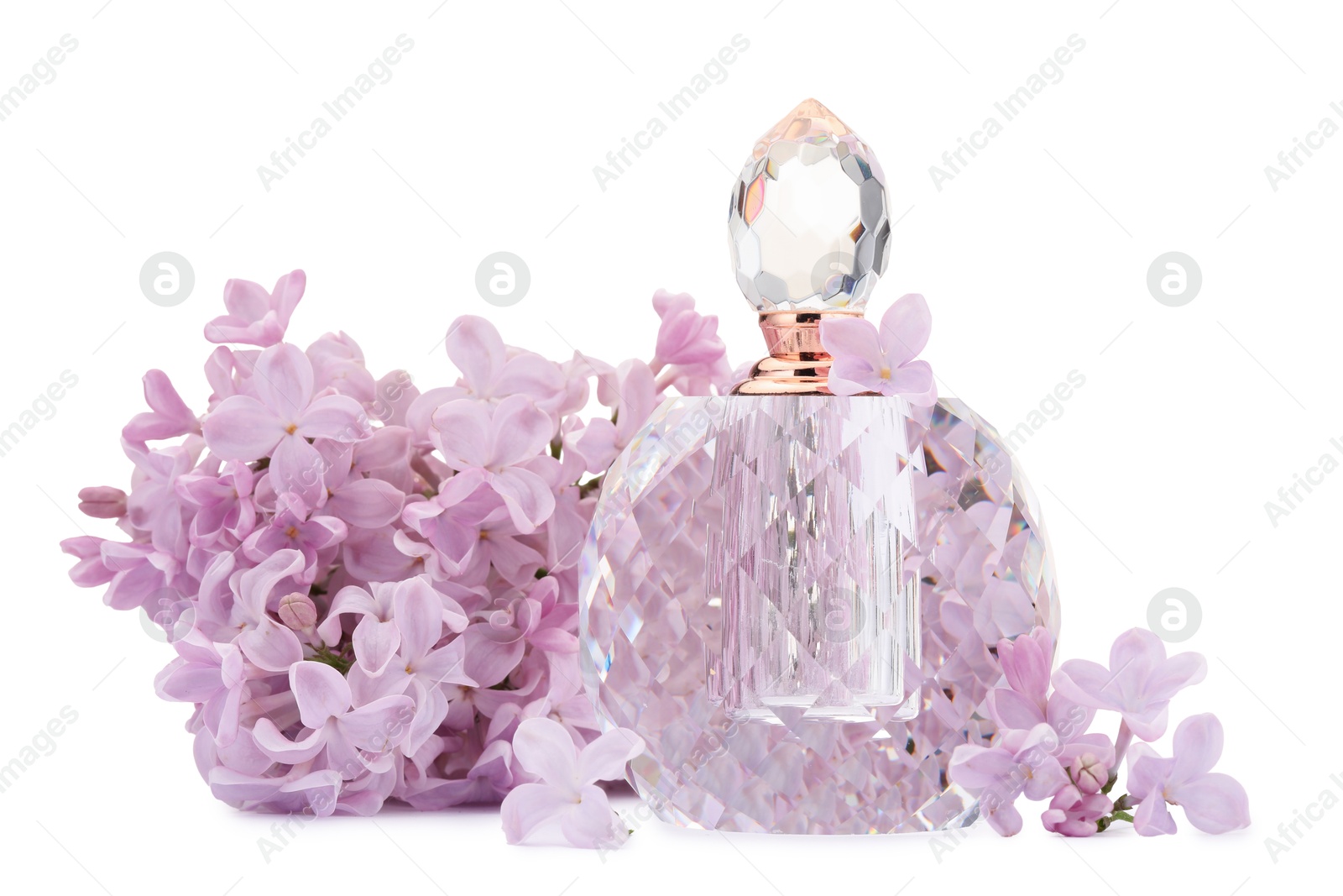 Luxury perfume and beautiful lilac flowers isolated on white Photo of Luxury perfume and beautiful lilac flowers isolated on white