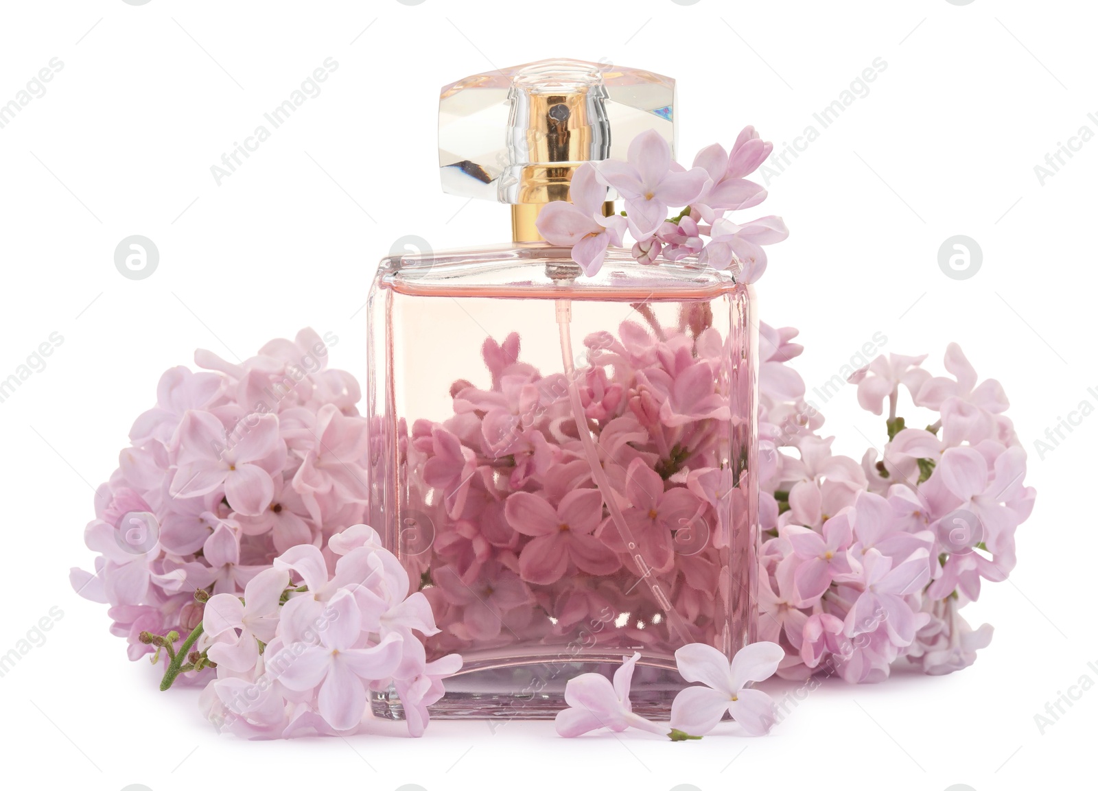 Luxury perfume and beautiful lilac flowers isolated on white Photo of Luxury perfume and beautiful lilac flowers isolated on white