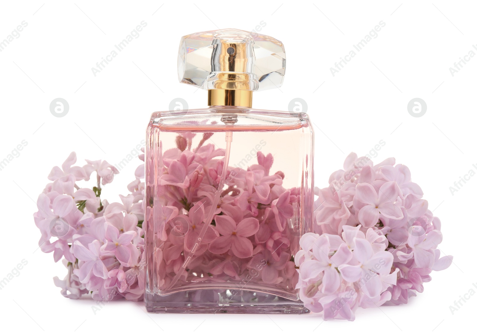 Luxury perfume and beautiful lilac flowers isolated on white Photo of Luxury perfume and beautiful lilac flowers isolated on white