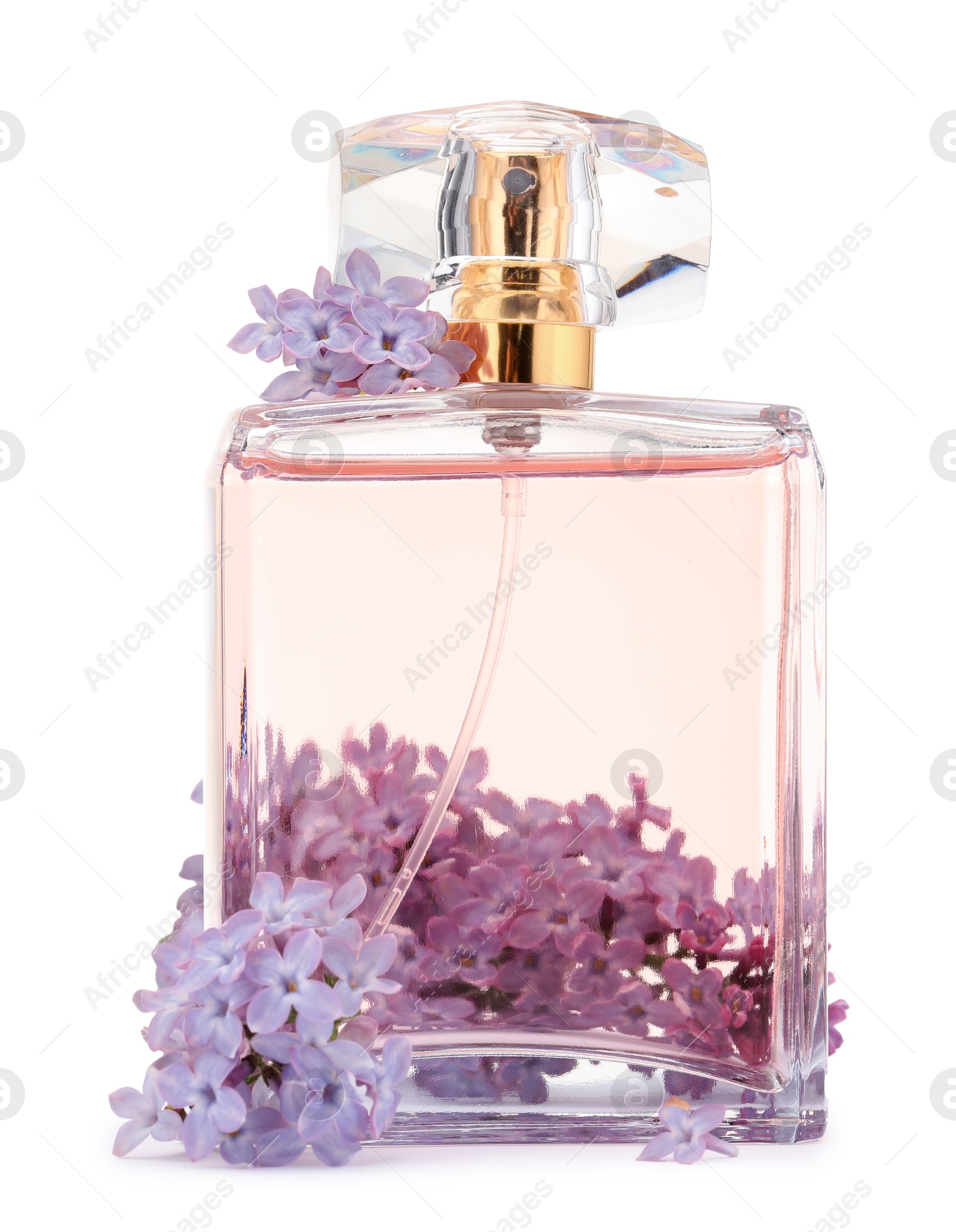 Luxury perfume and beautiful lilac flowers isolated on white Photo of Luxury perfume and beautiful lilac flowers isolated on white