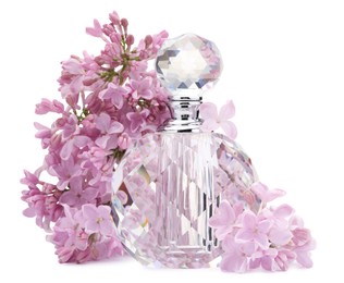 Photo of Luxury perfume and beautiful lilac flowers isolated on white
