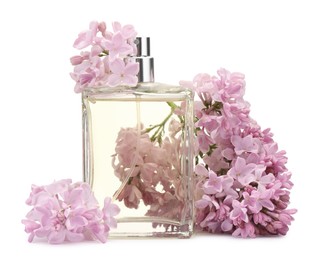 Photo of Luxury perfume and beautiful lilac flowers isolated on white