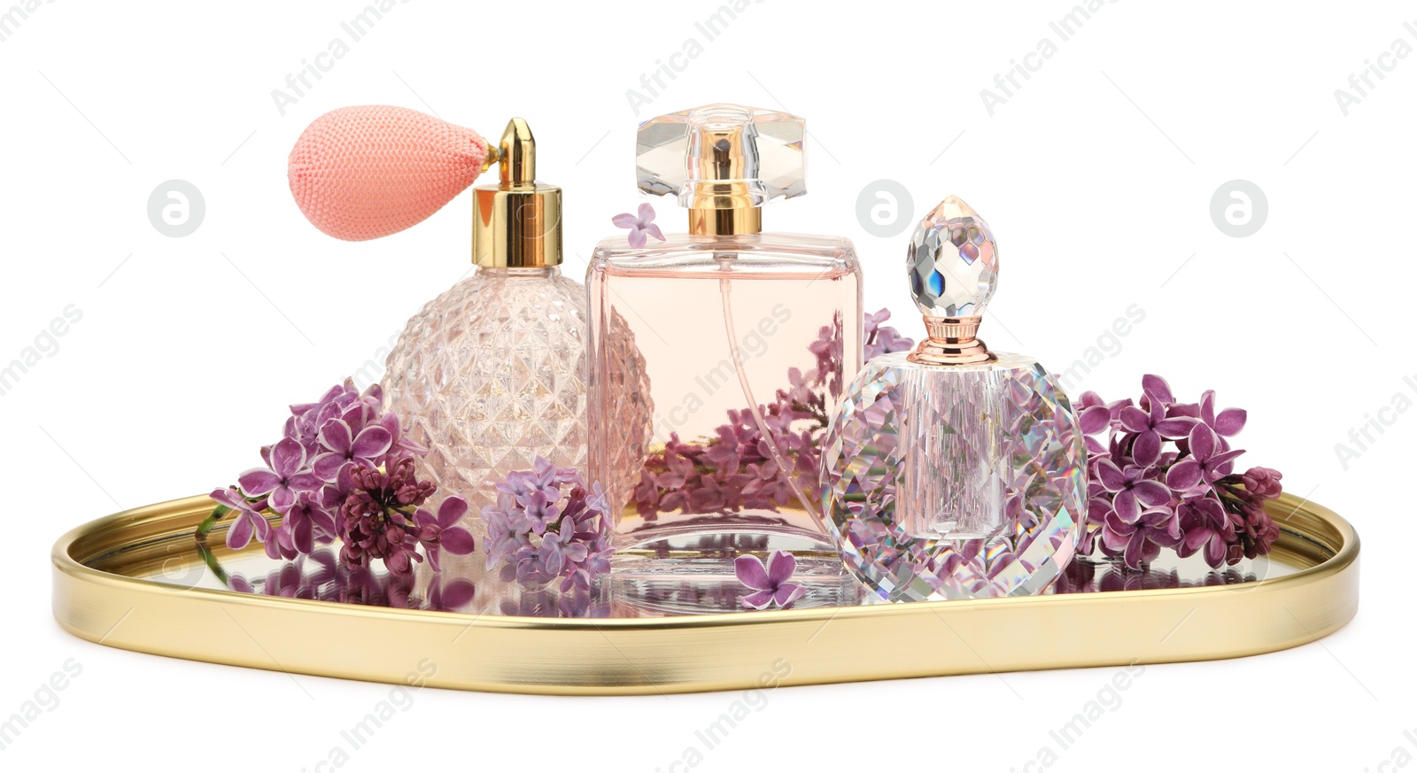Luxury perfumes and beautiful lilac flowers isolated on white Photo of Luxury perfumes and beautiful lilac flowers isolated on white