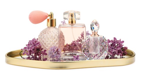 Photo of Luxury perfumes and beautiful lilac flowers isolated on white