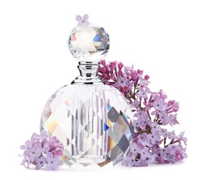 Photo of Luxury perfume and beautiful lilac flowers isolated on white