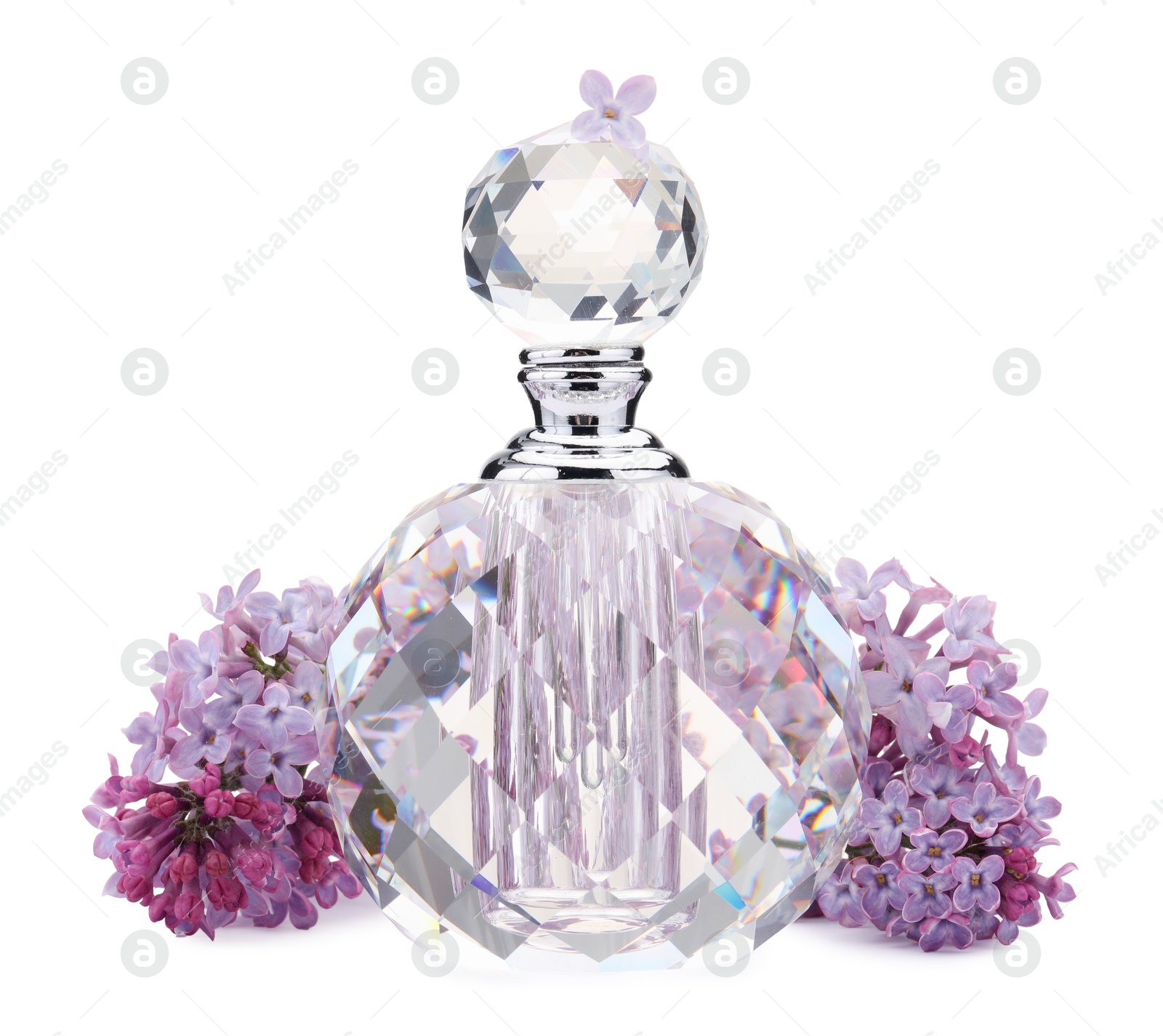Luxury perfume and beautiful lilac flowers isolated on white Photo of Luxury perfume and beautiful lilac flowers isolated on white