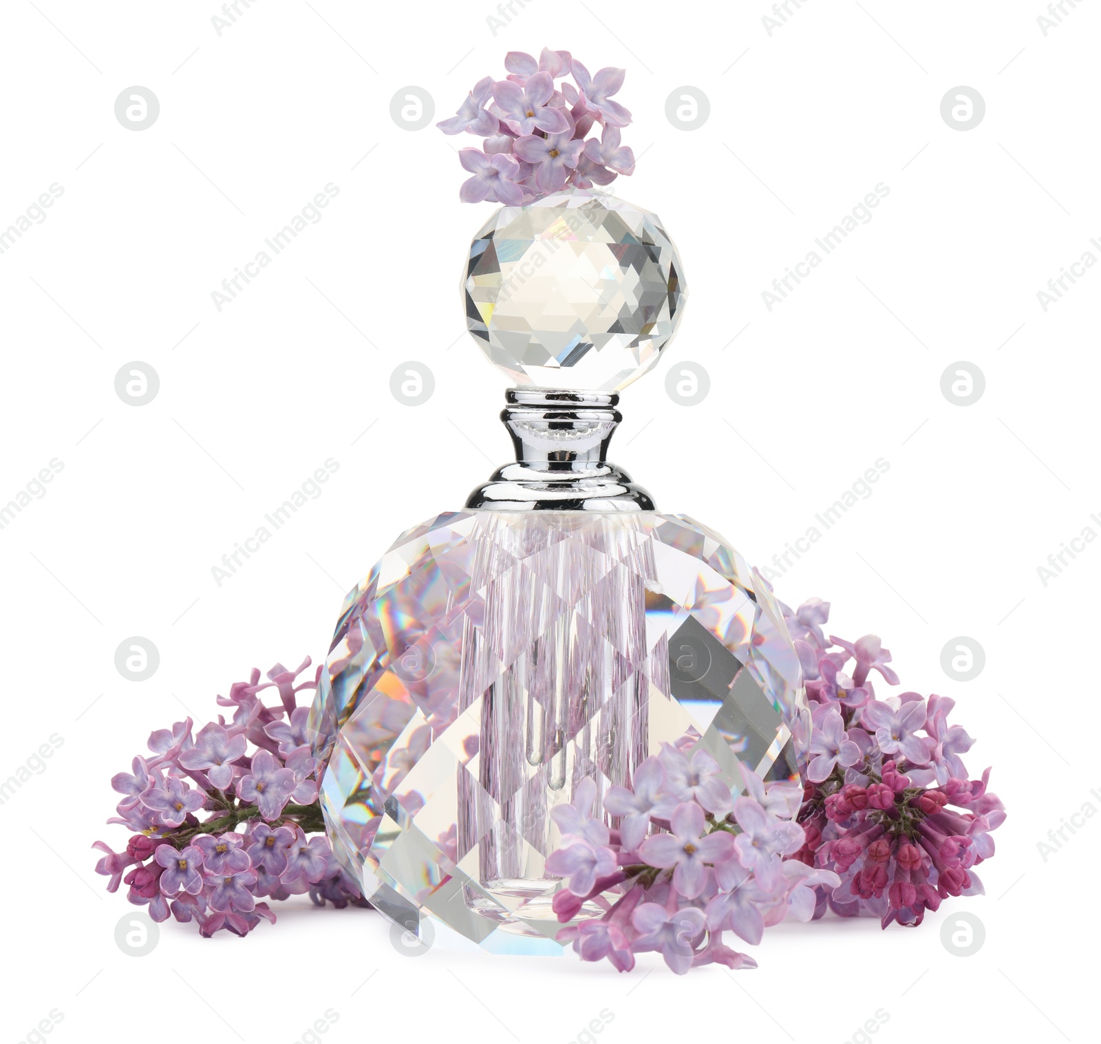 Luxury perfume and beautiful lilac flowers isolated on white Photo of Luxury perfume and beautiful lilac flowers isolated on white